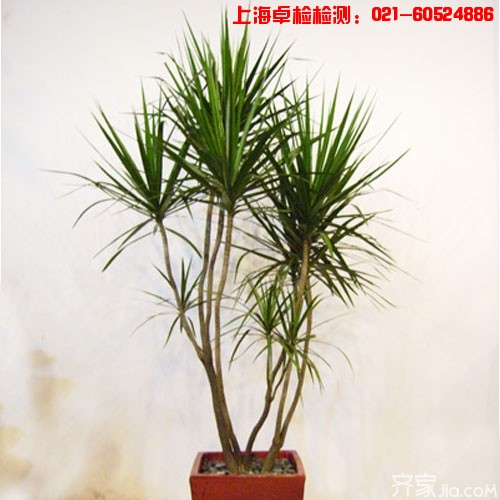 上海室內(nèi)空氣質(zhì)量檢測(cè)中心-上海CMA檢測(cè)報(bào)告