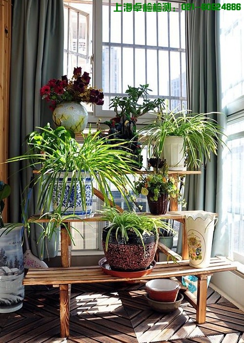 上海室內空氣質量檢測中心-上海CMA檢測報告