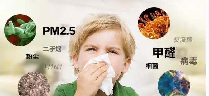 上海室內(nèi)空氣質(zhì)量檢測中心-上海CMA檢測報告