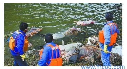 上海室內(nèi)空氣質(zhì)量檢測(cè)中心-上海CMA檢測(cè)報(bào)告